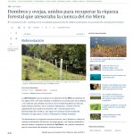 ABC_Natural Reforestación pag. 1