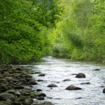 Río Trueba, Burgos