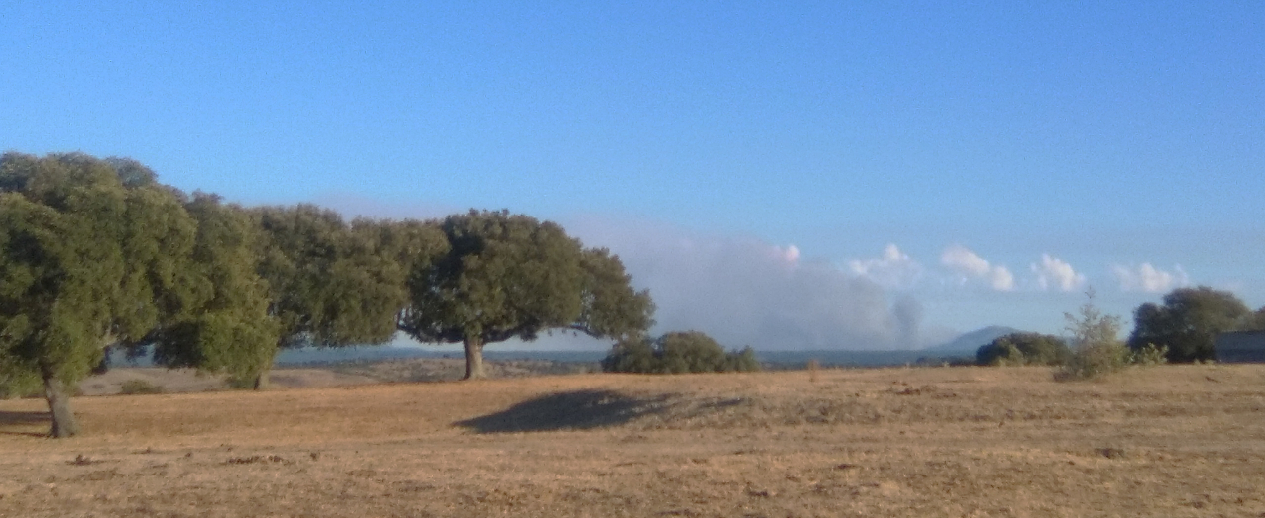 Vista del Incendio desde la Reserva de Campanarios de Azaba