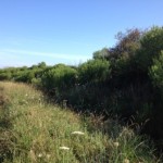 Dique de la Ría de Cubas en el paraje de Gandarias, donde se realizarán los ensayos