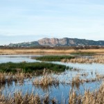 Humedales litorales: las marismas de Alday