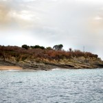 Isla de Santa Marina con flora afectada por el tratamiento