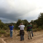 Observando la fauna de Campanarios de Azaba.