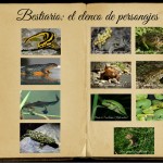 los anfibios del río Miera