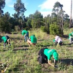 Jornada de PROVOCA en Somo con FNYH.
