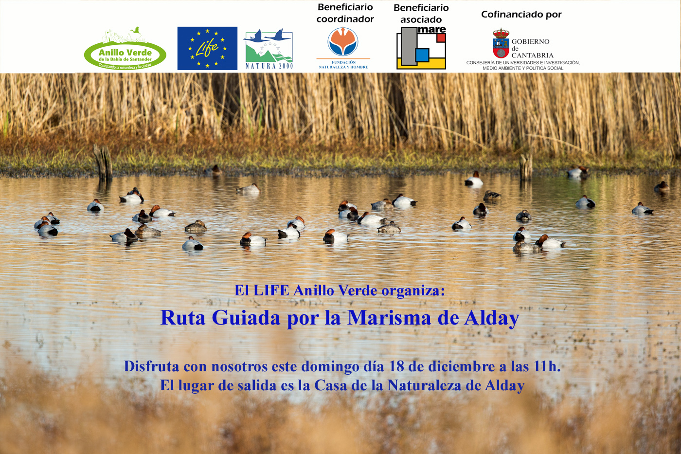 Ruta guiada por las Marismas de Alday