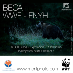 Beca Concurso Fotográfico Montphoto 2017
