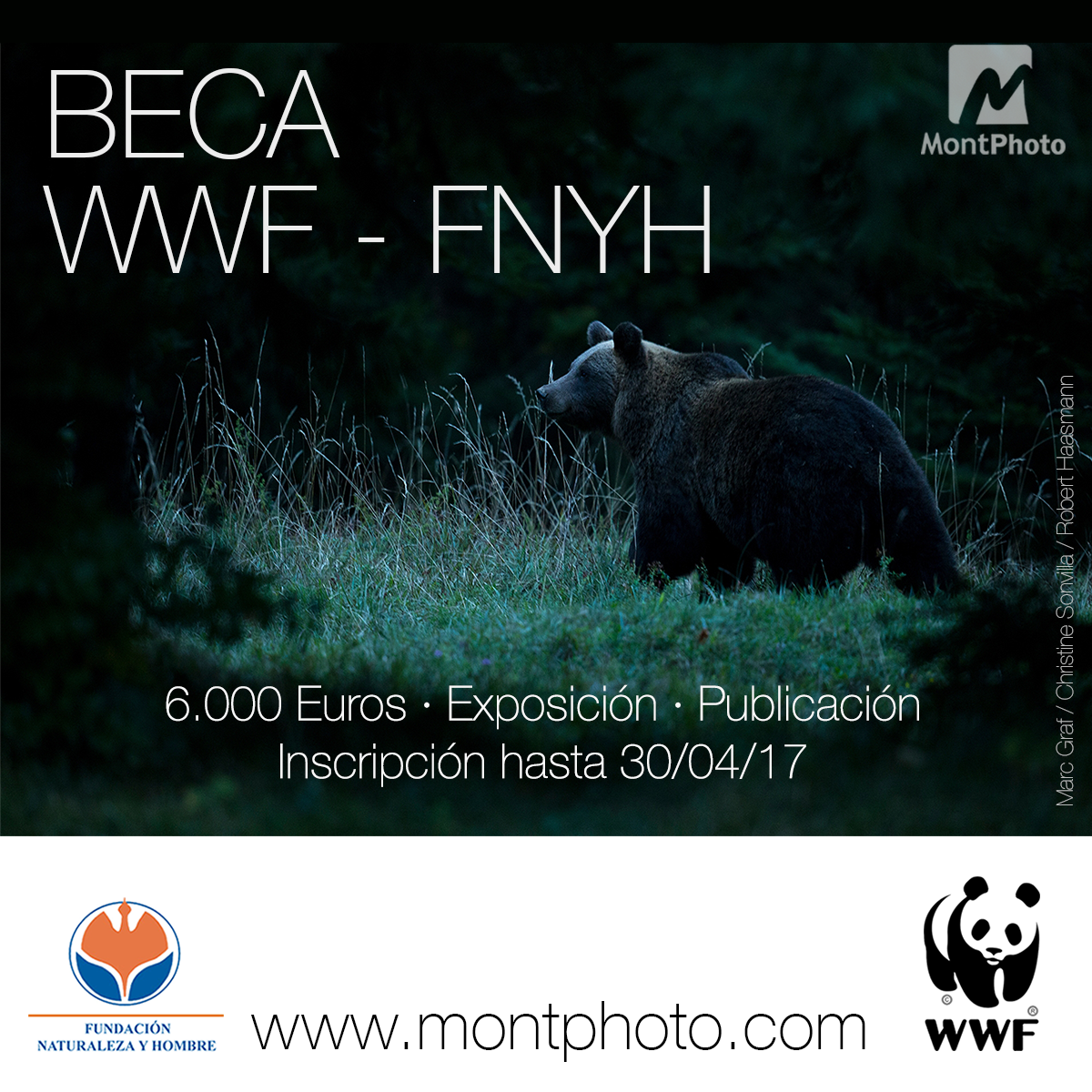 Beca Concurso Fotográfico Montphoto 2017