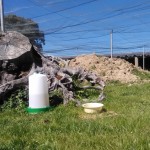 Refugio para la suelta de conejos.
