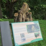 Las pirámides de madera muerta sirven de refugio a larvas.