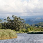 Ría de Cubas, Estuario del Miera