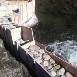 Rebaje o vertedero que hará de llamada para los peces que usarán el estanque intermedio en su ascenso del río