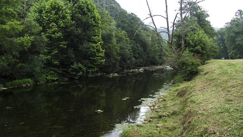 Río Miera La Regata, ZEC Río Miera