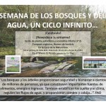 Celebremos los Días Internacionales de Bosques y del Agua, 21 y 22 de marzo, poniendo verde tu entorno