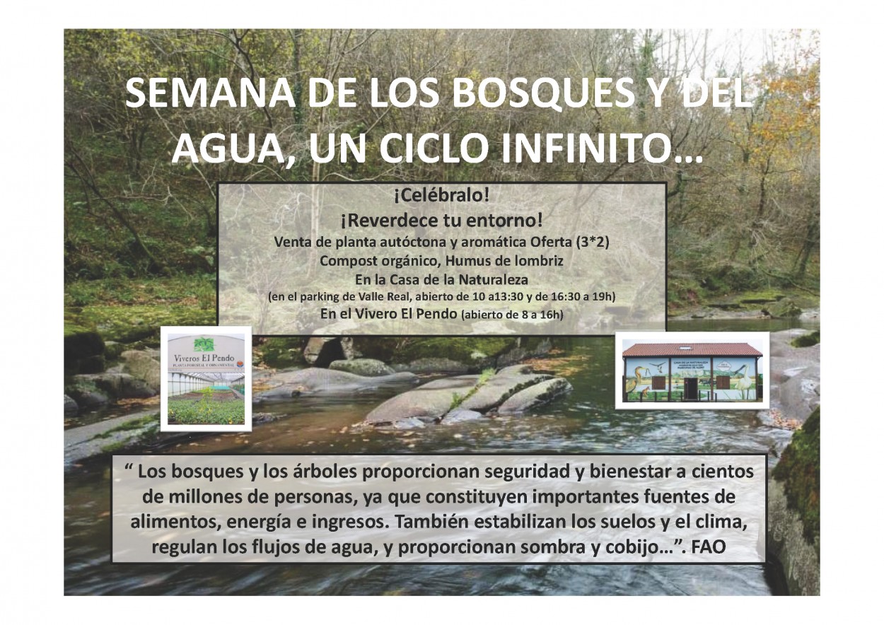 Celebremos los Días Internacionales de Bosques y del Agua, 21 y 22 de marzo, poniendo verde tu entorno