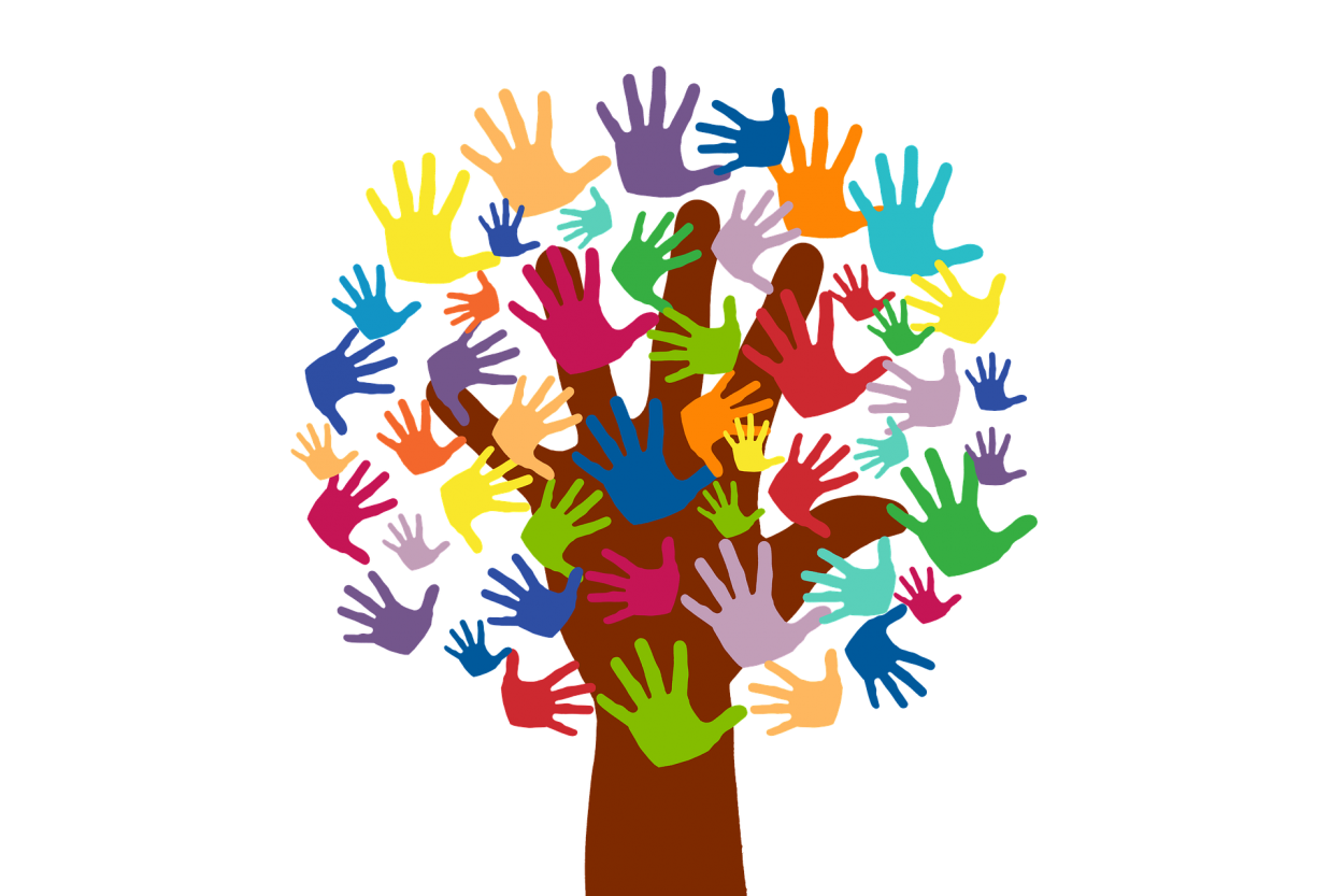 Servicio de Voluntariado Europeo SVE, programa Erasmus+