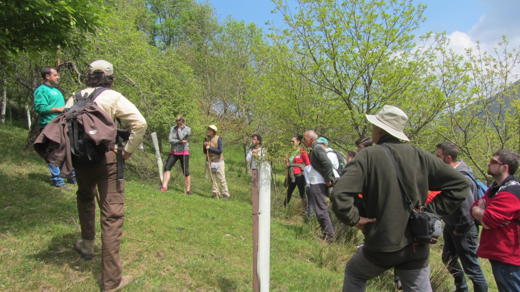 Propietarios de custodia de LIFE Miera visitando la Finca reforestada de El Cabañal