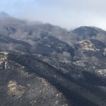 Incendios en el Hayedo de La Zamina. Foto de FNYH.