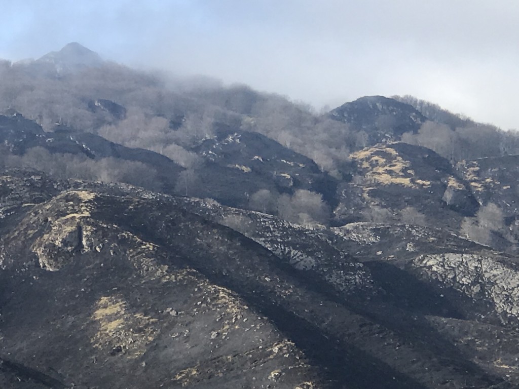 Incendios en el Hayedo de La Zamina. Foto de FNYH.