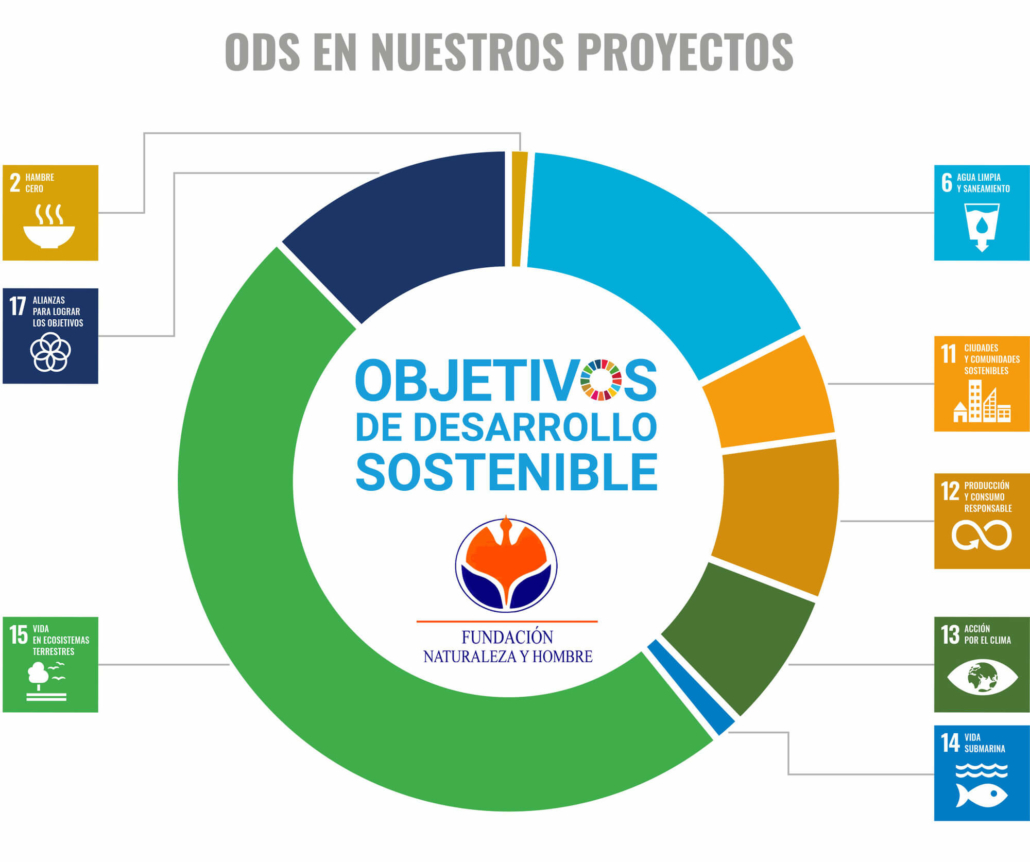 FHYN-ODS-en nuestros proyectos